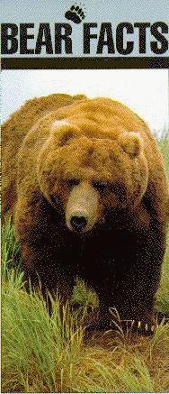 Bear Facts