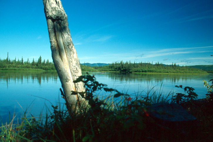 Allakaket Mündung AlatnaRiver